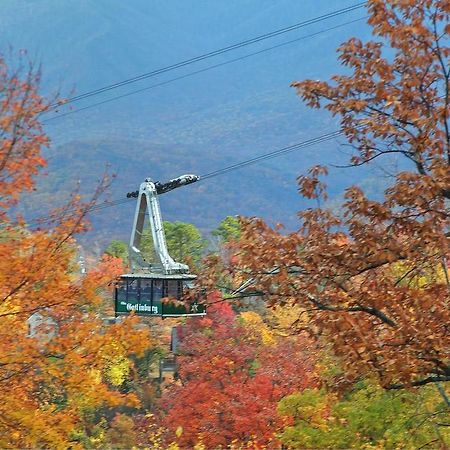 Cajun Hideaway Holiday Home Gatlinburg Εξωτερικό φωτογραφία